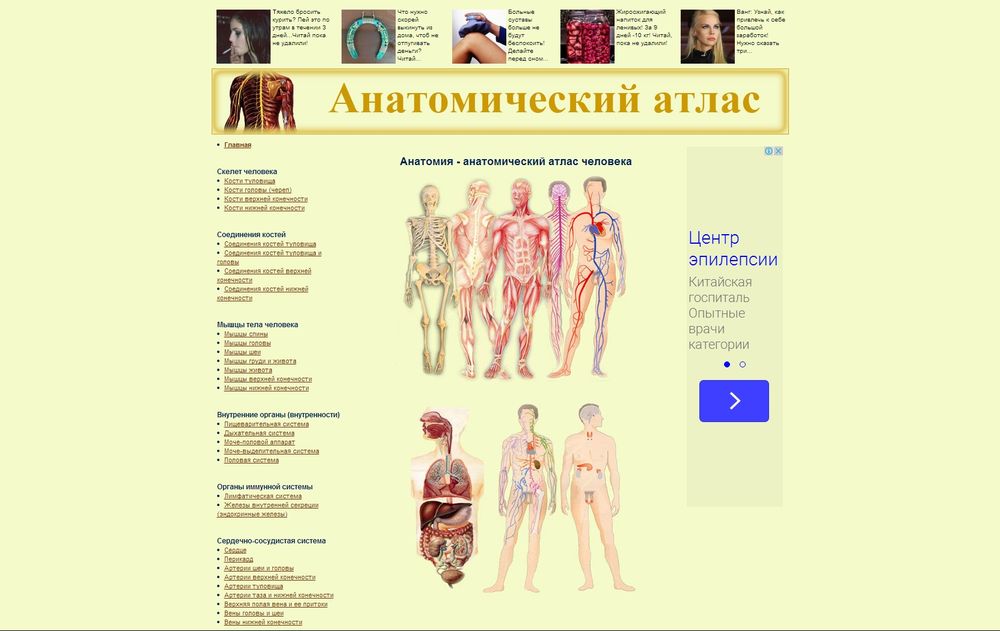 www.anatomy.tj